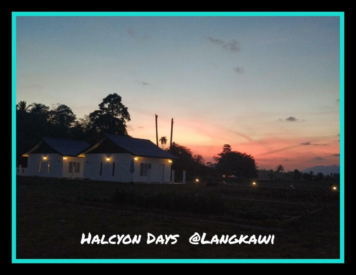 Halcyon Days @ Langkawi Διαμέρισμα Pantai Cenang  Εξωτερικό φωτογραφία