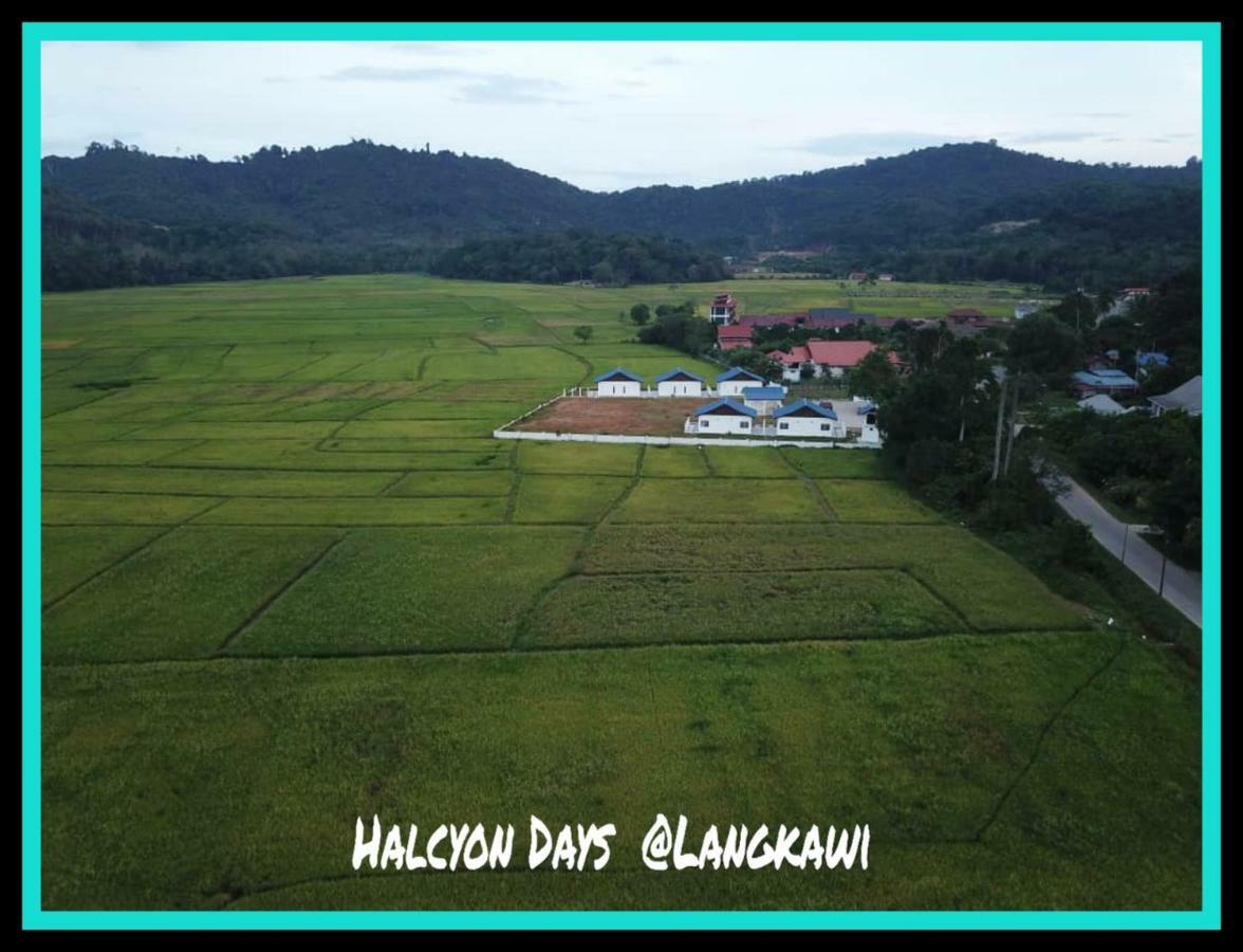 Halcyon Days @ Langkawi Διαμέρισμα Pantai Cenang  Εξωτερικό φωτογραφία
